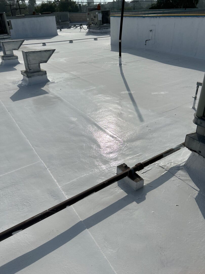 Bird perched on a rooftop pipe on a sunny day.