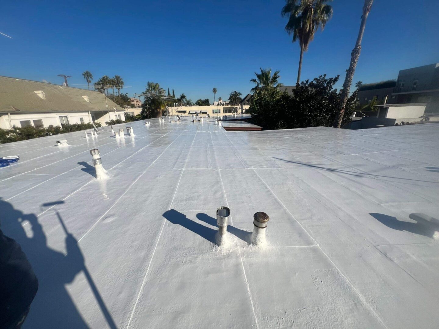 White flat roof with multiple vents and palm trees in the background.