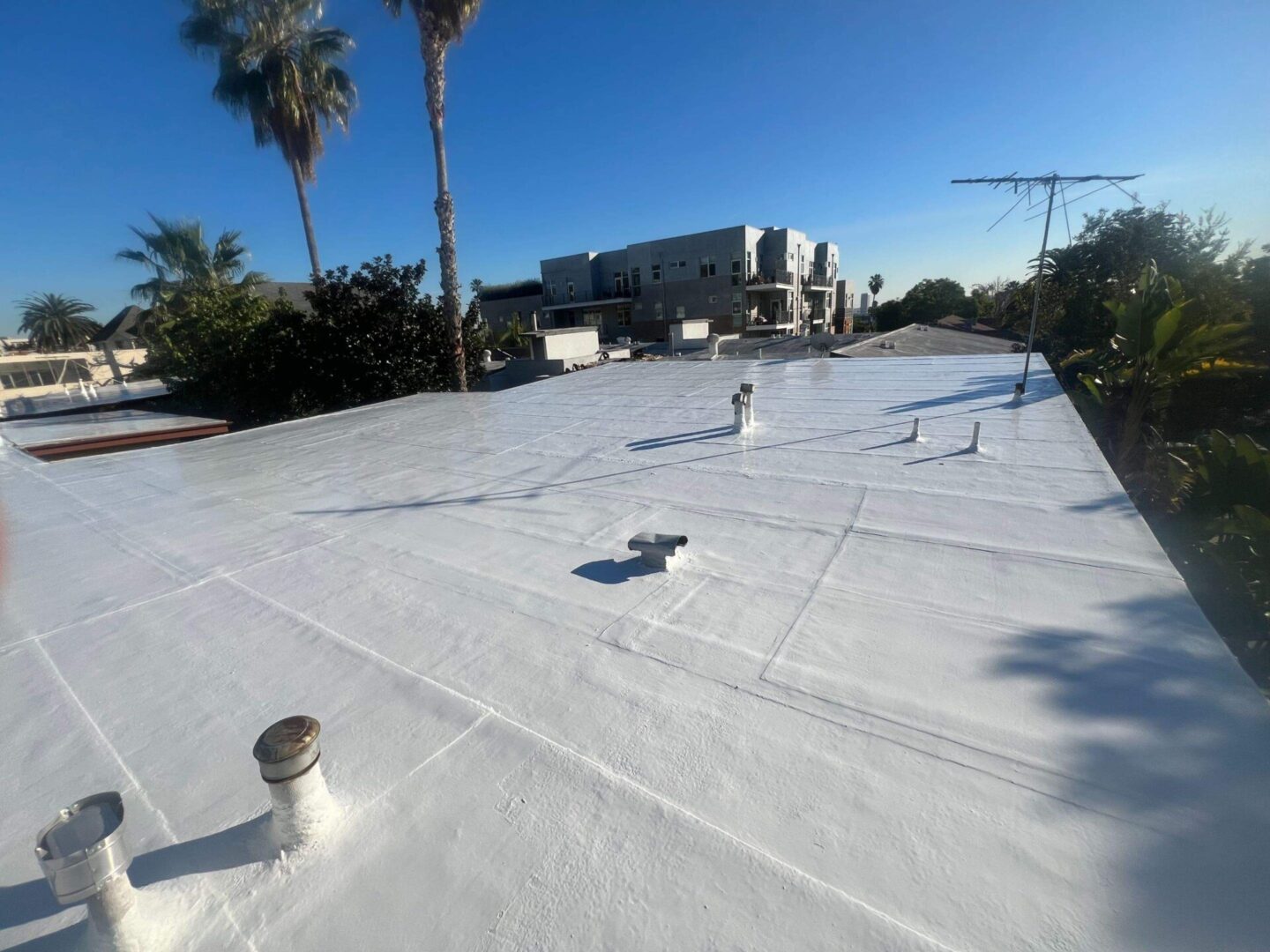 White flat roof on a sunny day with palm trees and a building in the background.