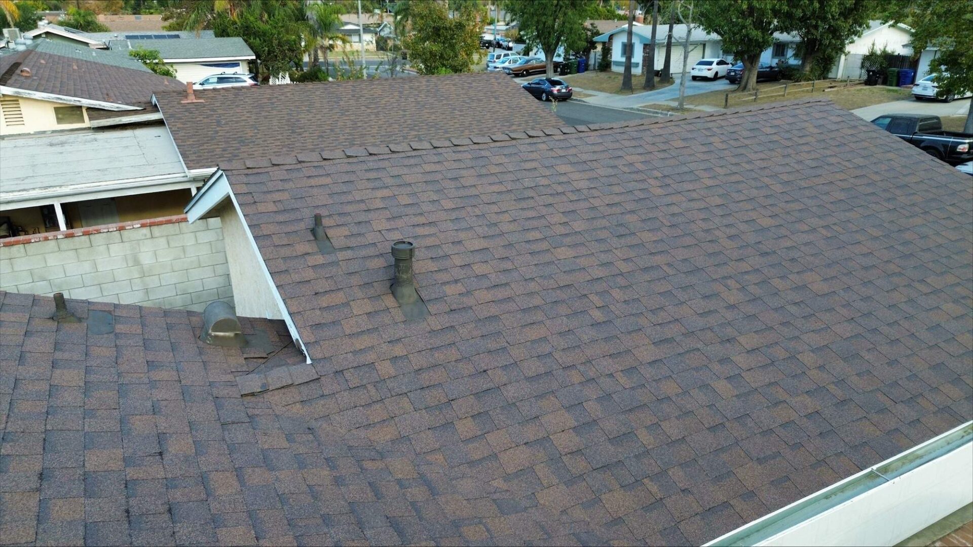 A cat sitting on a shingled roof under daylight.
