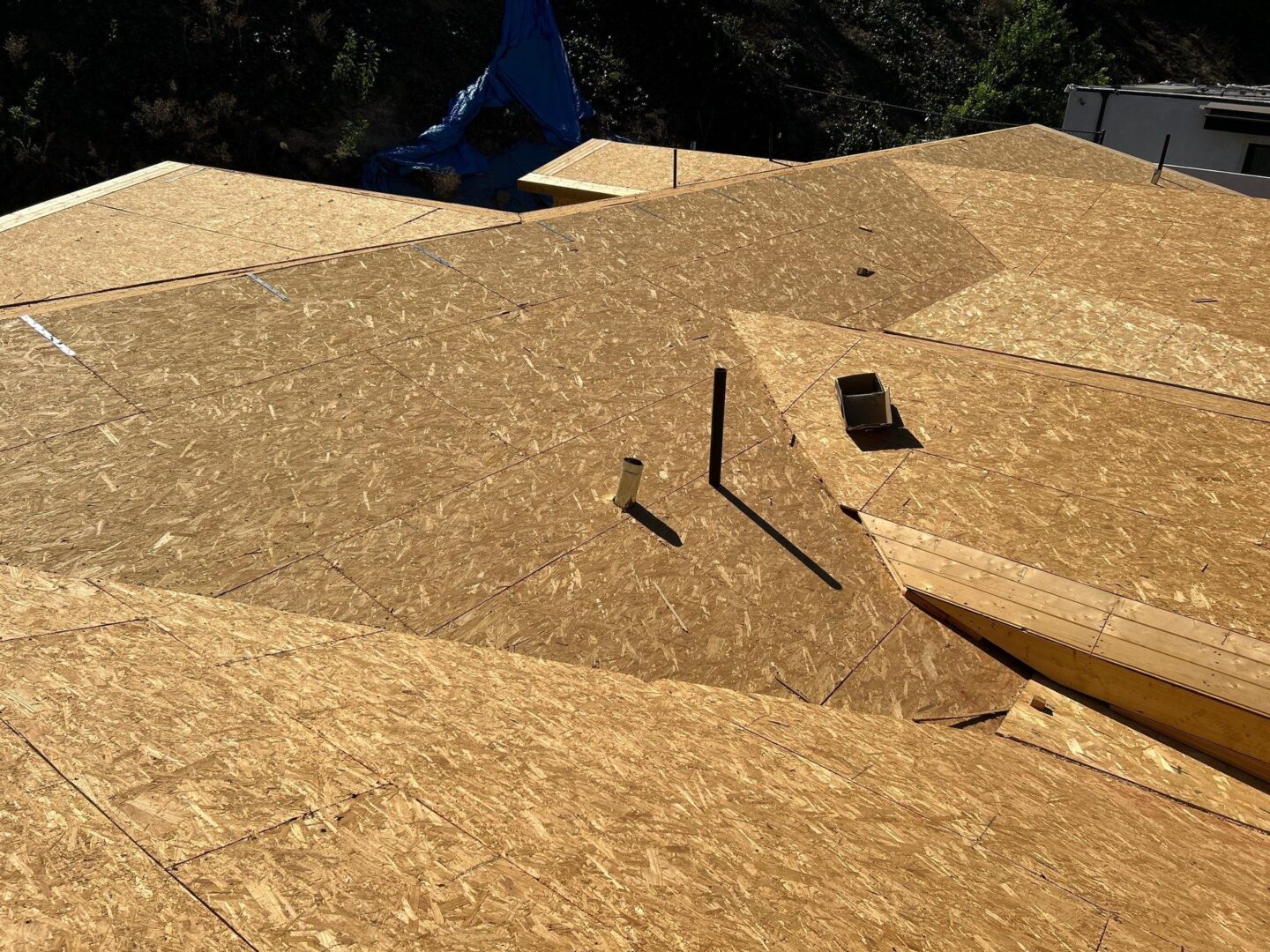 Close-up of plywood sheets on a roof under construction with nails and wood pieces.